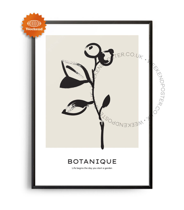 Botanique minimal black and white poster