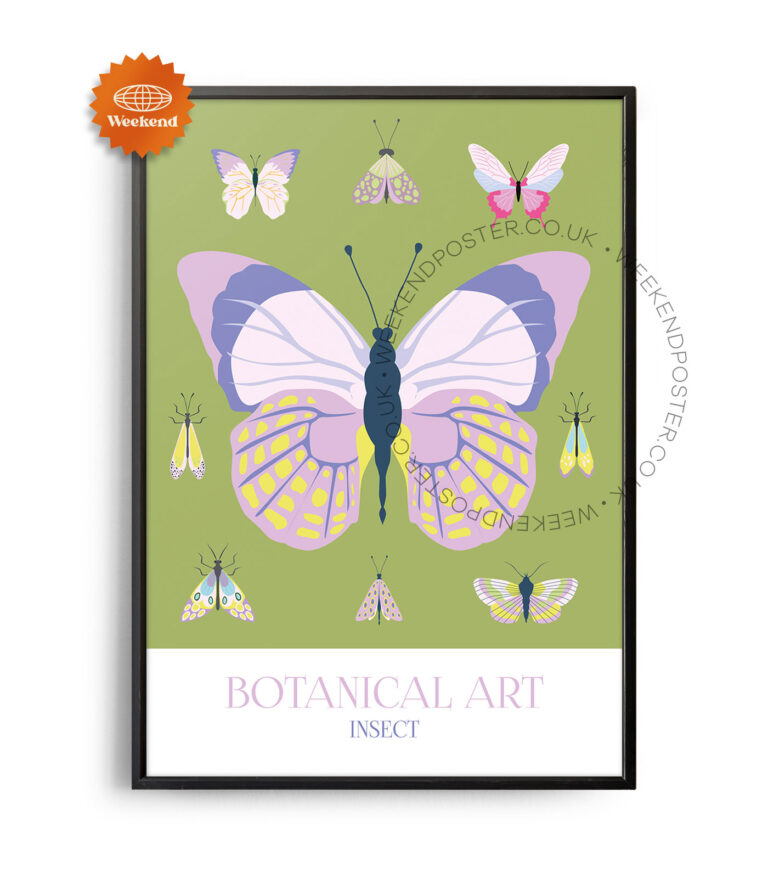 Botanical Art Insect poster