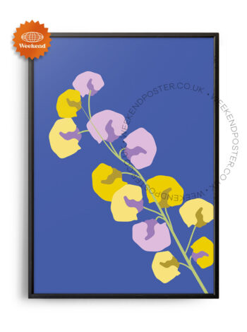 Colourful Flower poster