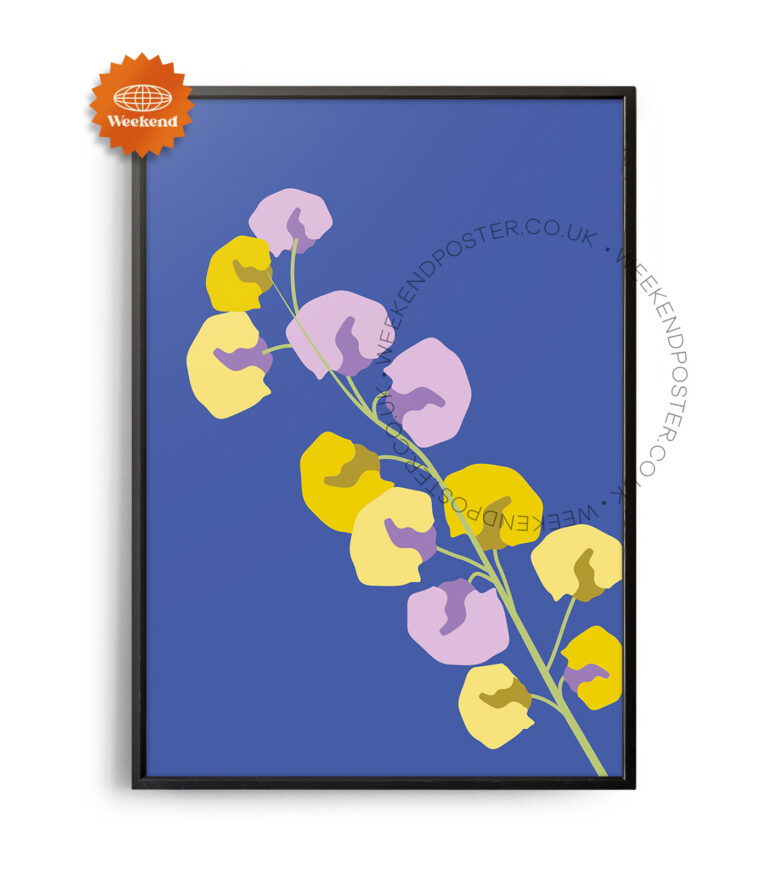 Colourful Flower poster