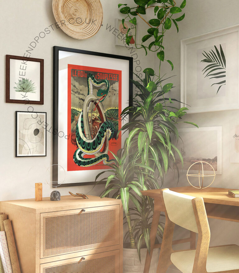 Le Roi De La Souplesse vintage poster