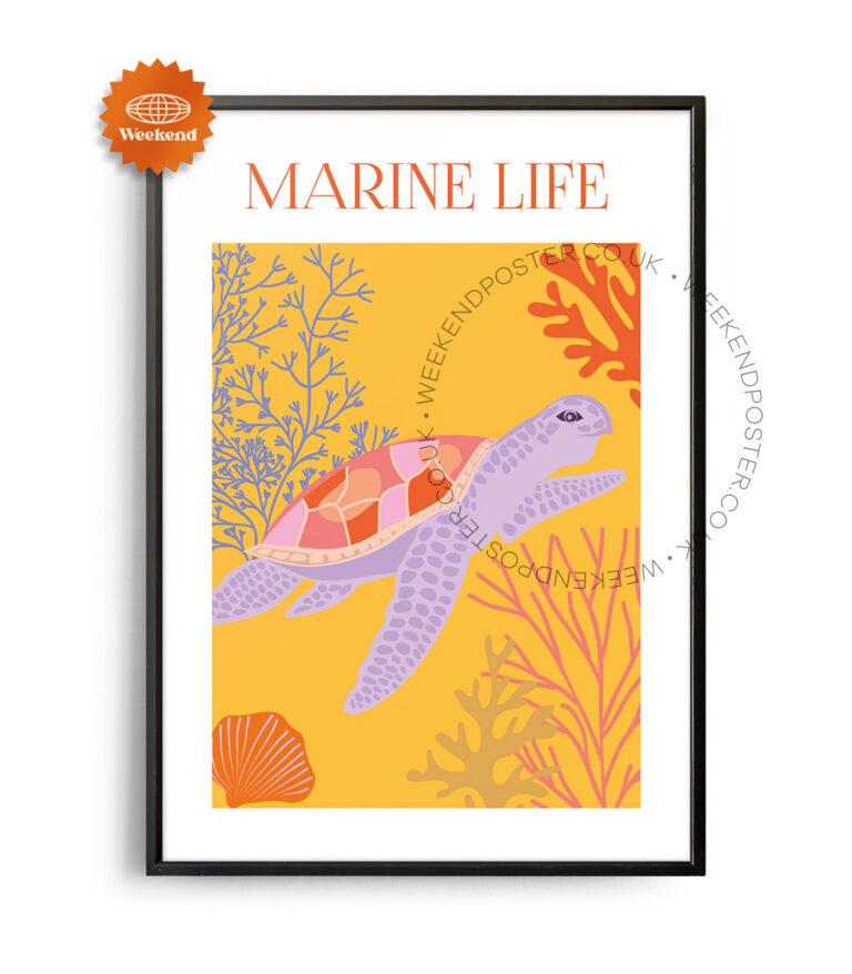 Marine Life poster