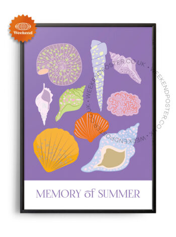 Memory of Summer poster