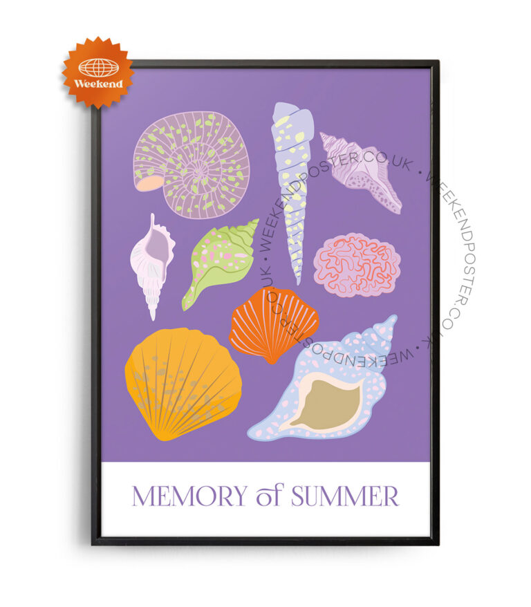 Memory of Summer poster