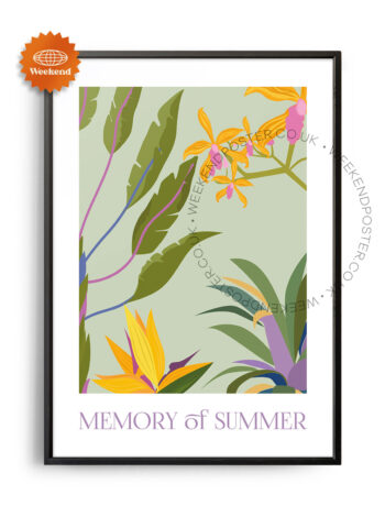Memory of Summer poster