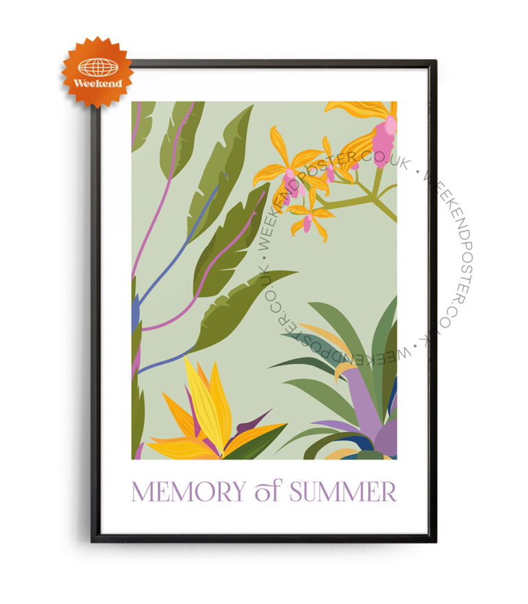 Memory of Summer poster