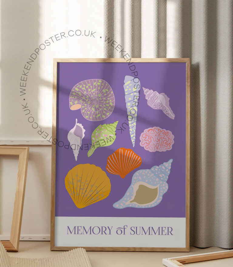 Memory of Summer poster
