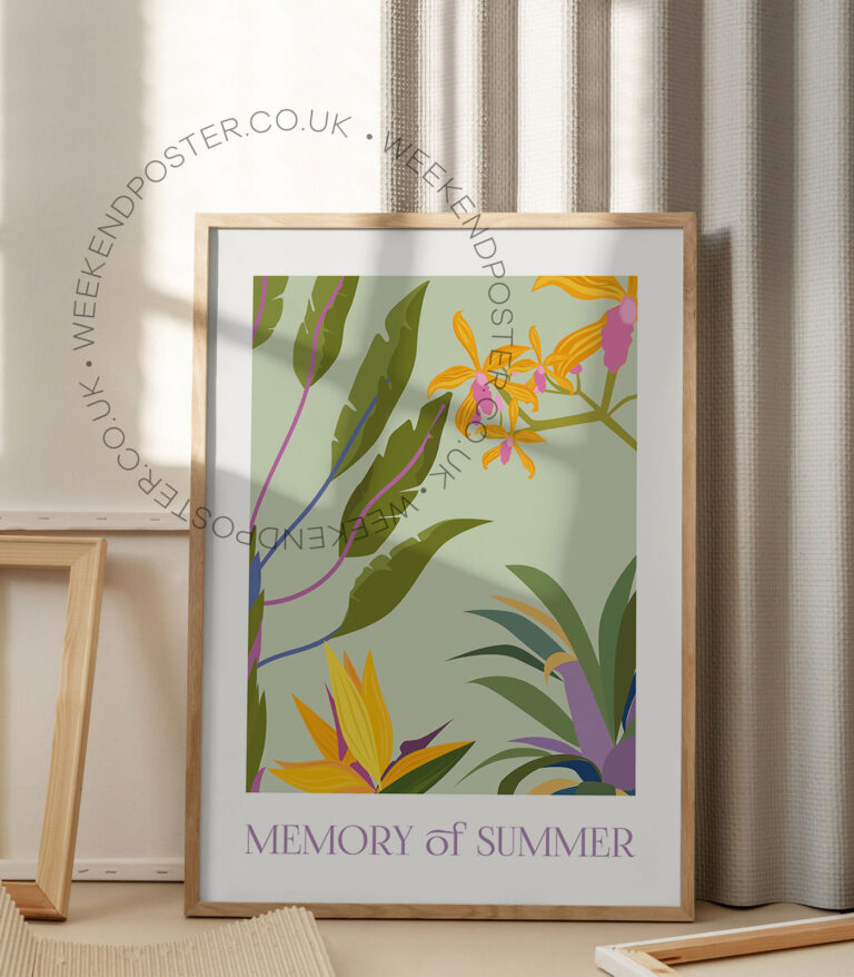 Memory of Summer poster