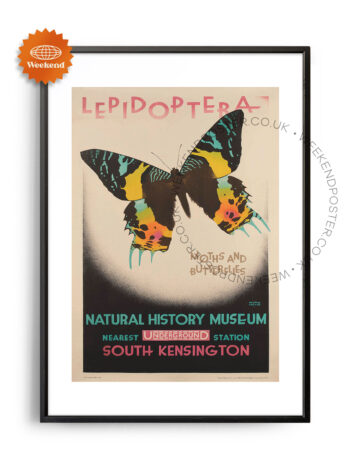 National History Museum vintage poster