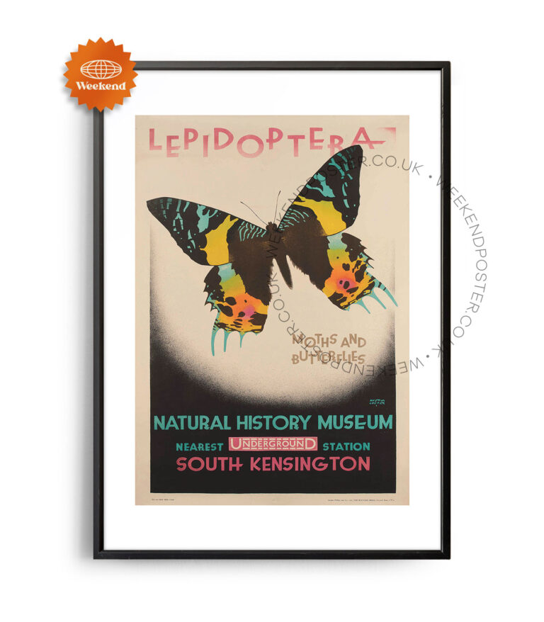 National History Museum vintage poster