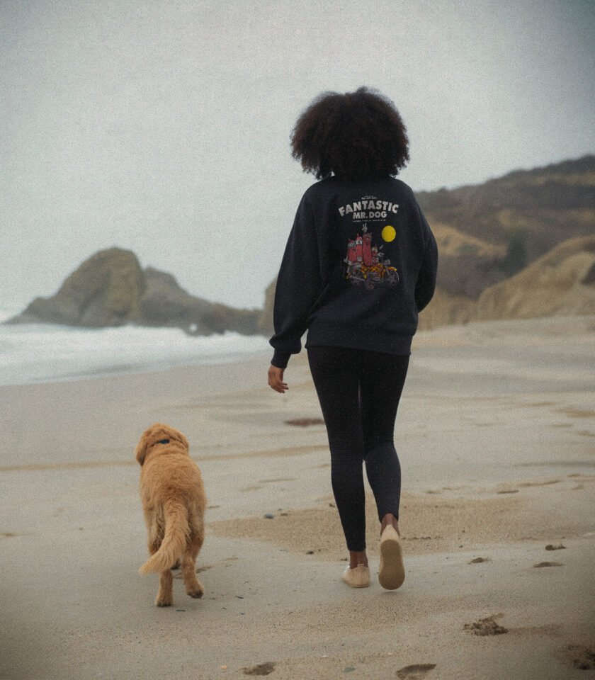 Fantastic Mr. Dog Heavyweight Organic Sweatshirt Black - Image 5